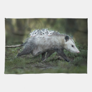 Cutest Baby djur Opossum Mamma & Kids Kökshandduk