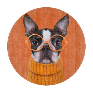 Cutest Baby djur Orange Boston Terrier
