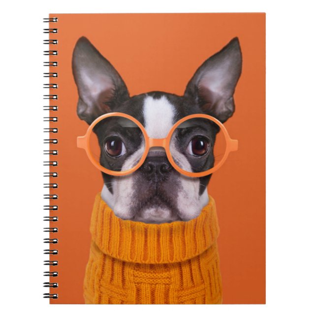 Cutest Baby djur | Orange Boston Terrier Anteckningsbok (Framsidan)