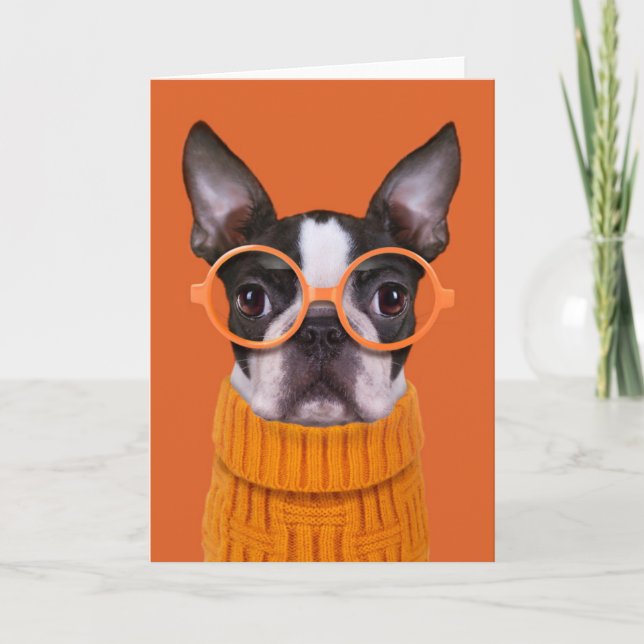 Cutest Baby djur | Orange Boston Terrier Kort (Framsida)