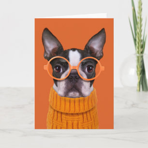 Cutest Baby djur Orange Boston Terrier Kort