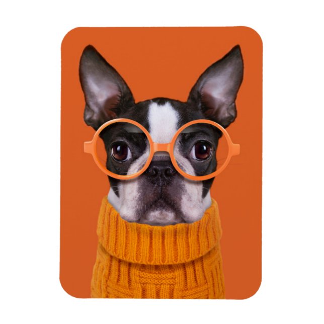 Cutest Baby djur | Orange Boston Terrier Magnet (Vertikal)