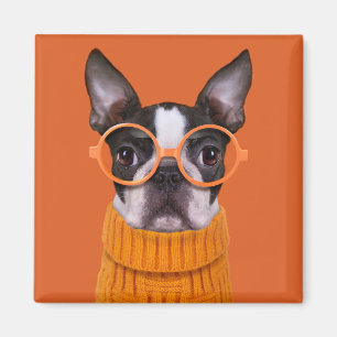 Cutest Baby djur Orange Boston Terrier Magnet