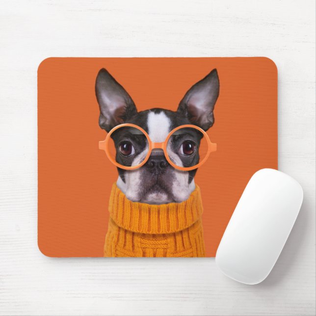 Cutest Baby djur | Orange Boston Terrier Musmatta (Med mus)