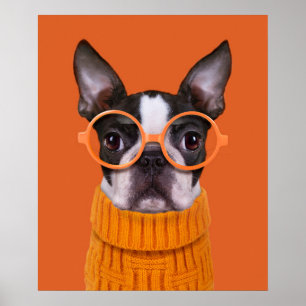 Cutest Baby djur Orange Boston Terrier Poster