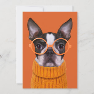 Cutest Baby djur Orange Boston Terrier Tack Kort