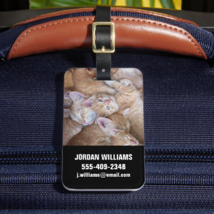 Cutest Baby djur Orange Kitten Pile Bagagebricka