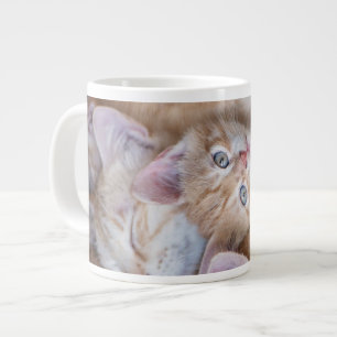 Cutest Baby djur Orange Kitten Pile Jumbo Mugg