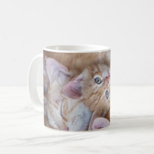 Cutest Baby djur Orange Kitten Pile Kaffemugg