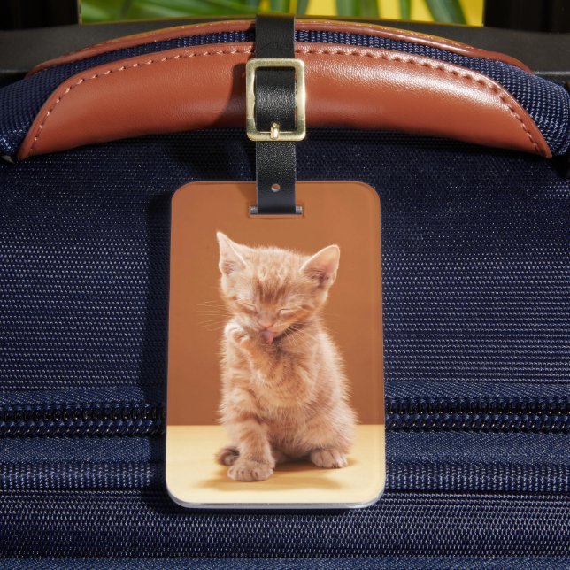 Cutest Baby djur | Orange Tabby Kitten Bagagebricka (Framsida Insitu 2)