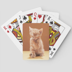 Cutest Baby djur Orange Tabby Kitten Casinokort