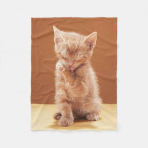Cutest Baby djur   Orange Tabby Kitten Fleecefilt