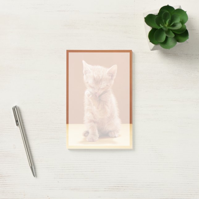 Cutest Baby djur | Orange Tabby Kitten Post-it Block (Kontor)