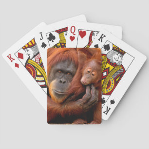 Cutest Baby djur Orangutan Mamma & Baby Casinokort