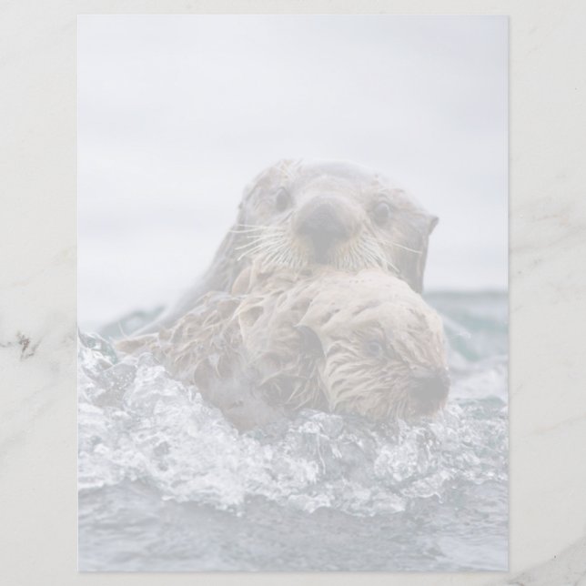 Cutest Baby djur | Otter Baby och Mor (Framsida)
