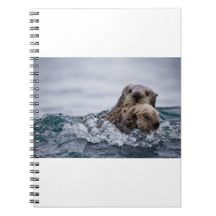 Cutest Baby djur Otter Baby och Mor Anteckningsbok