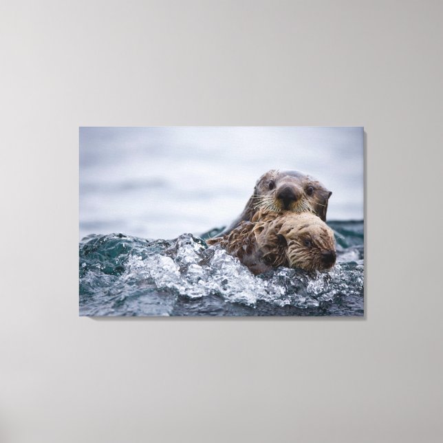 Cutest Baby djur | Otter Baby och Mor Canvastryck (Framsida)