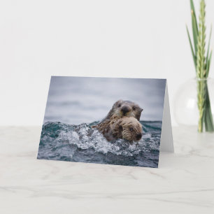 Cutest Baby djur   Otter Baby och Mor Kort