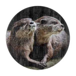 Cutest Baby djur Otters Holding Händer