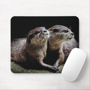 Cutest Baby djur Otters Holding Händer Musmatta