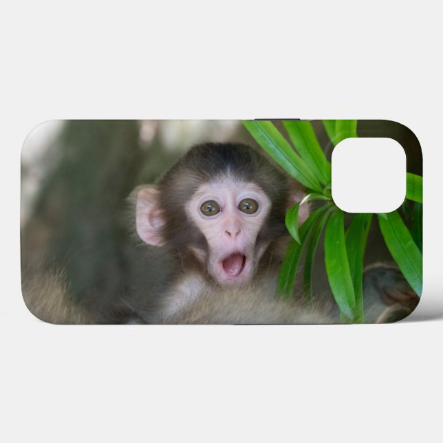 Cutest Baby djur | Överraskad Snö Monkey (Baksida (horisontell))