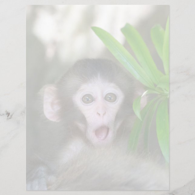 Cutest Baby djur | Överraskad Snö Monkey (Framsida)
