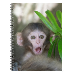 Cutest Baby djur   Överraskad Snö Monkey Anteckningsbok