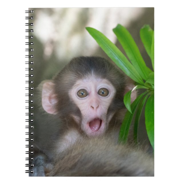Cutest Baby djur | Överraskad Snö Monkey Anteckningsbok (Framsidan)