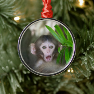 Cutest Baby djur Överraskad Snö Monkey Julgransprydnad Metall