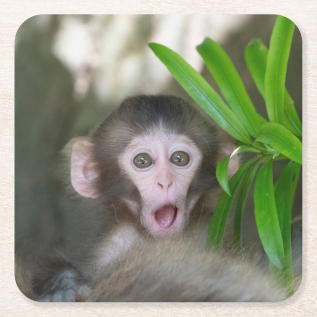 Cutest Baby djur | Överraskad Snö Monkey Underlägg Papper Kvadrat (Framsidan)