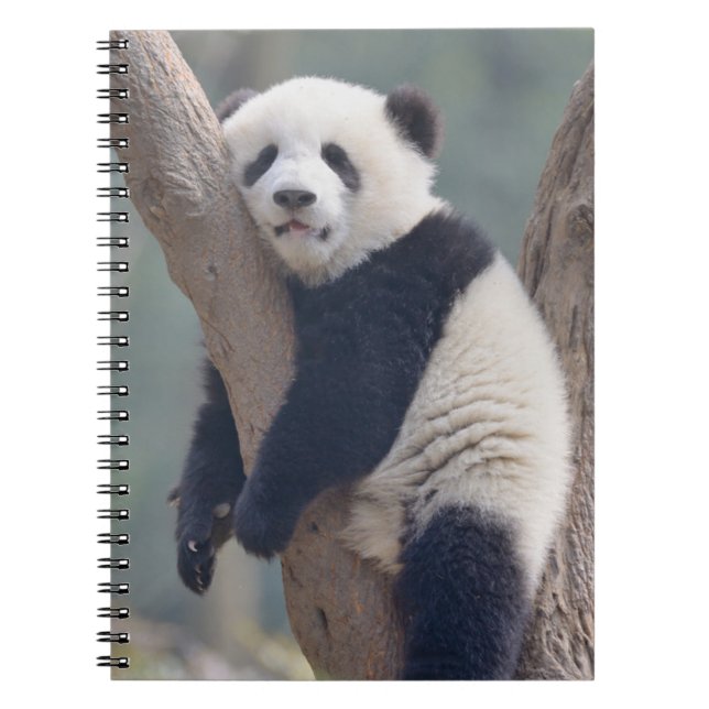 Cutest Baby djur | Panda Bear Sleeping Baby Anteckningsbok (Framsidan)
