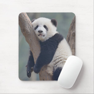 Cutest Baby djur Panda Bear Sleeping Baby Musmatta
