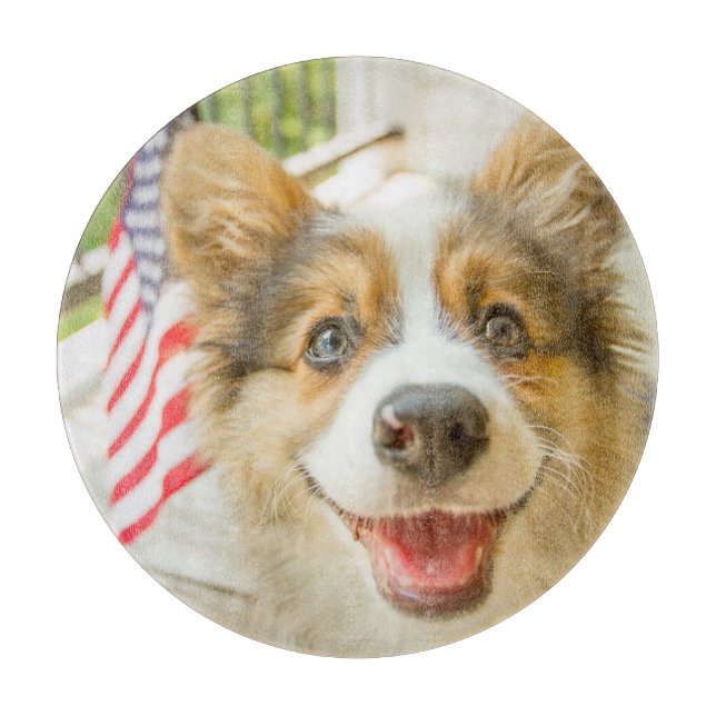 Cutest Baby djur | Patriotic Corgi Puppy (Framsidan)