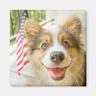 Cutest Baby djur Patriotic Corgi Puppy Magnet
