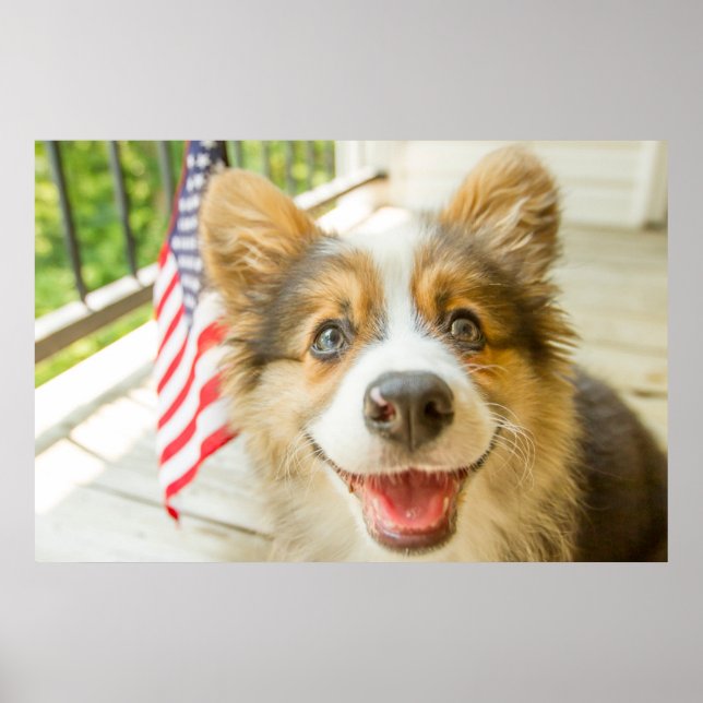 Cutest Baby djur | Patriotic Corgi Puppy Poster (Framsidan)