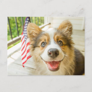 Cutest Baby djur Patriotic Corgi Puppy Vykort