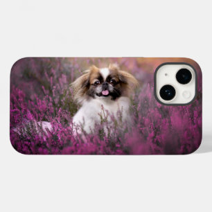 Cutest Baby djur Pekingese Puppy