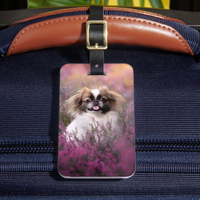 Cutest Baby djur | Pekingese Puppy Bagagebricka (Framsida Insitu 2)