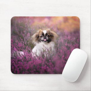 Cutest Baby djur Pekingese Puppy Musmatta