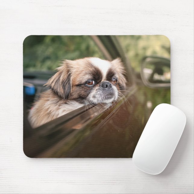 Cutest Baby djur | Pekingesisk marionett i bil Musmatta (Med mus)