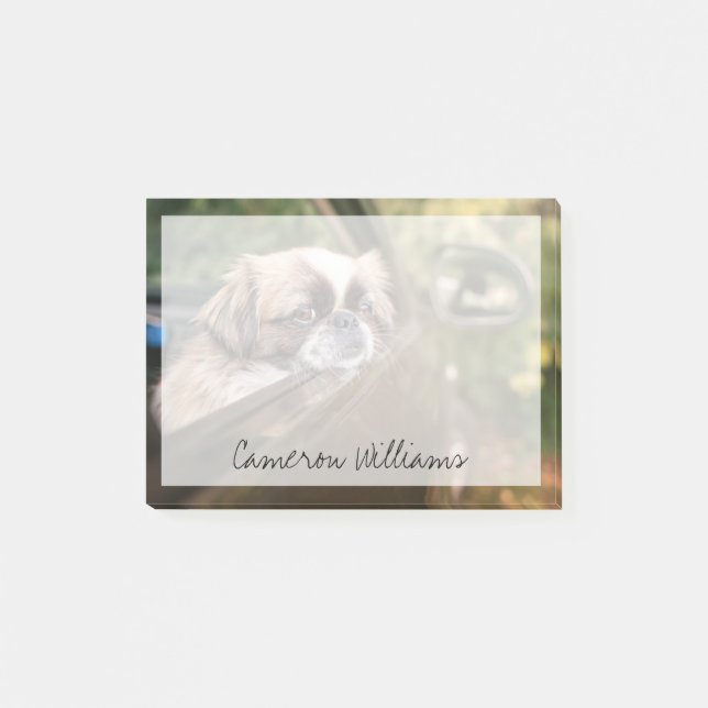 Cutest Baby djur | Pekingesisk marionett i bil Post-it Block (Framsida)