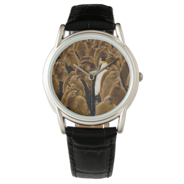 Cutest Baby djur | Penguin bland Youngsters Armbandsur (Framsida)