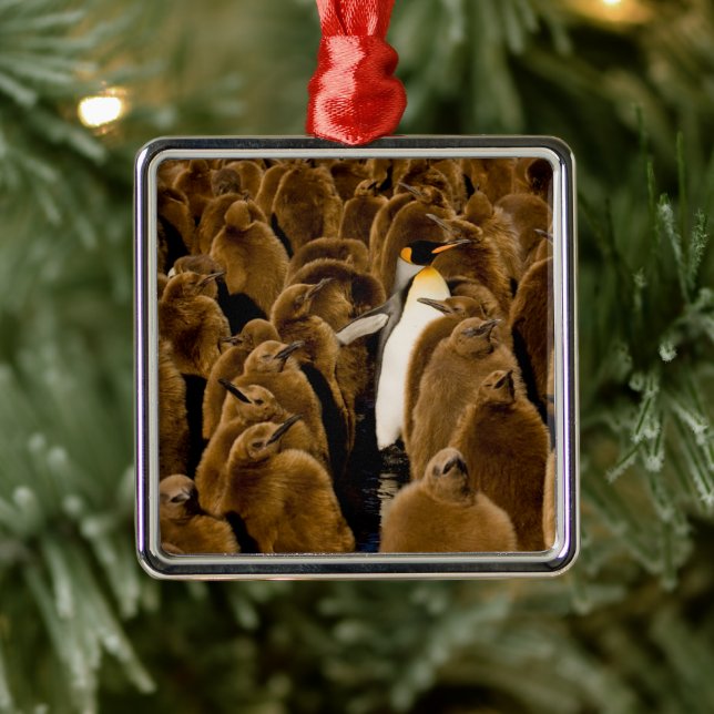 Cutest Baby djur | Penguin bland Youngsters Julgransprydnad Metall (Träd)