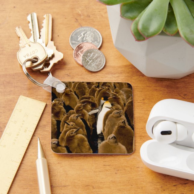 Cutest Baby djur | Penguin bland Youngsters Nyckelring (Skrivbord)