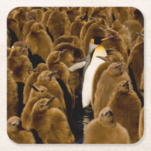 Cutest Baby djur Penguin bland Youngsters Underlägg Papper Kvadrat