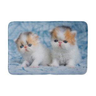 Cutest Baby djur Persian Calico Kitten Badrumsmatta