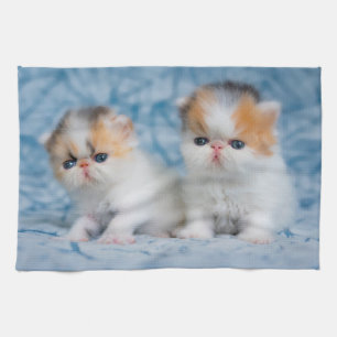 Cutest Baby djur Persian Calico Kitten Kökshandduk