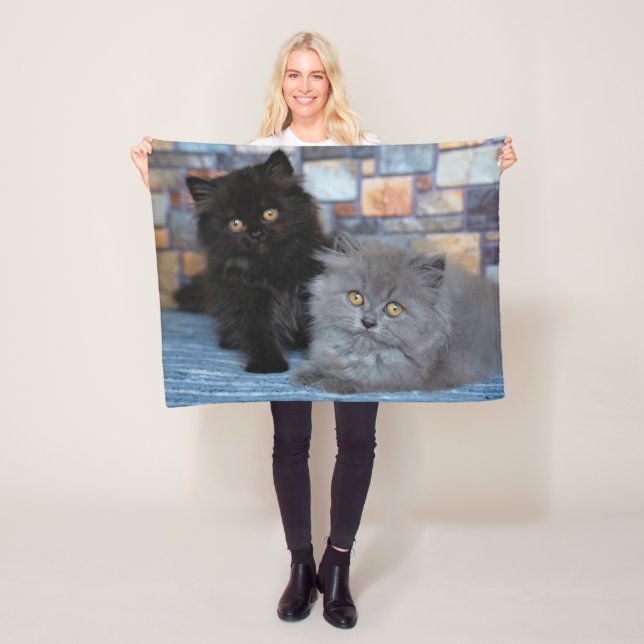 Cutest Baby djur | Persian Kittens på Blanket Fleecefilt (På plats)