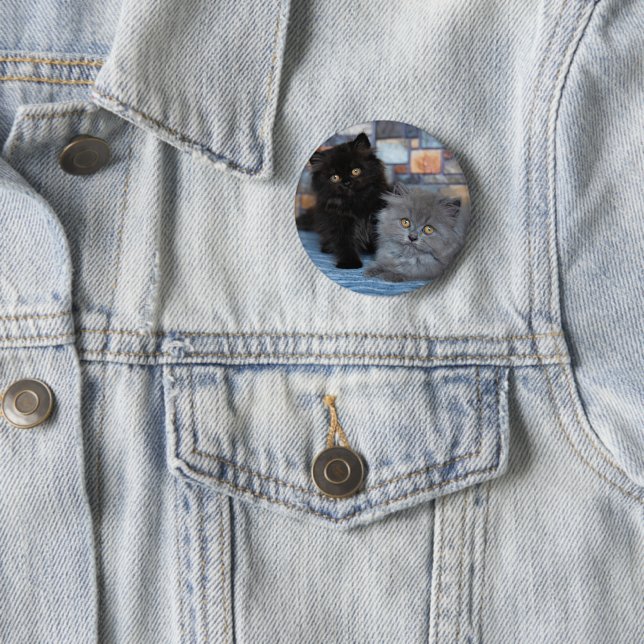 Cutest Baby djur | Persian Kittens på Blanket Knapp (In Situ)