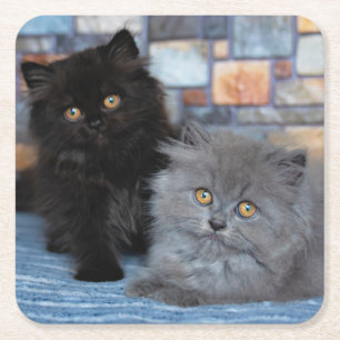 Cutest Baby djur Persian Kittens på Blanket Underlägg Papper Kvadrat